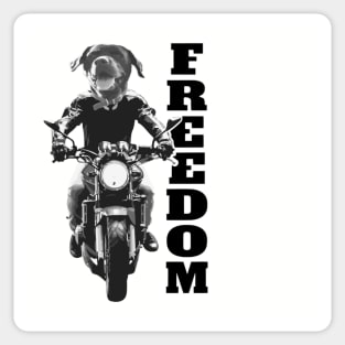 Freedom Dog on Motorcycle Sticker